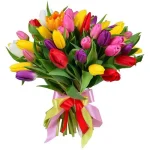Тюльпаны яркий микс